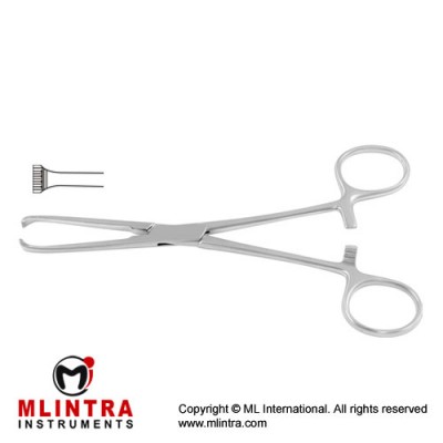 Allis Intestinal and Tissue Grasping Forceps 5 x 6 Teeth Stainless Steel, 25.5 cm - 10" Allis Intestinal and Tissue Grasping Forceps 5 x 6 Teeth Stainless Steel, 25.5 cm - 10"